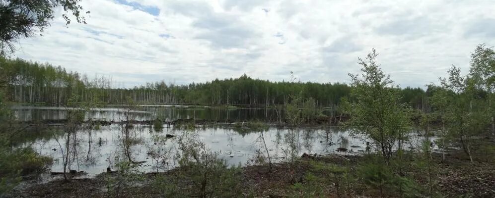 Бурино Вязниковский район. Деревня Бурино Вязниковский район. Озеро Кщара. Вязники деревня Бурино. Бурино челябинская область рыбалка