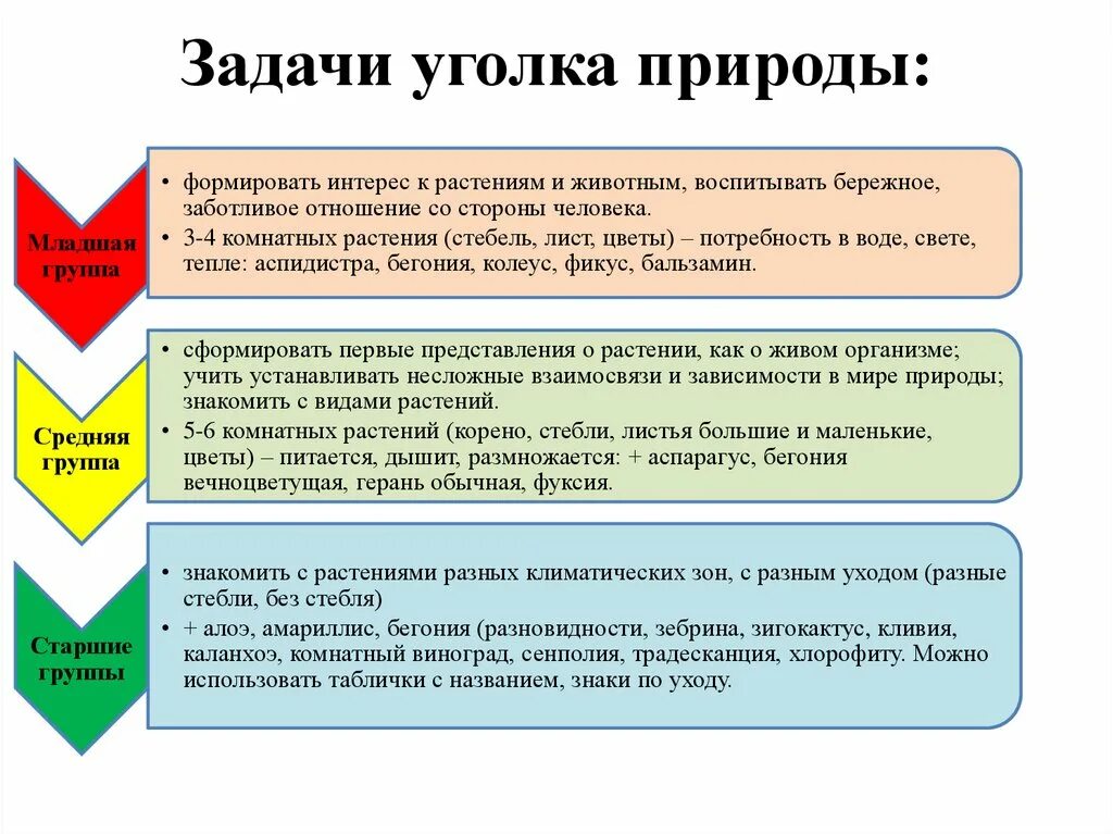 Уголок природы задачи. Задачи уголка природы в детском саду. Цель и задачи уголкаприродв. Цель уголка природы. Задачи уголка природы в подготовительной группе.