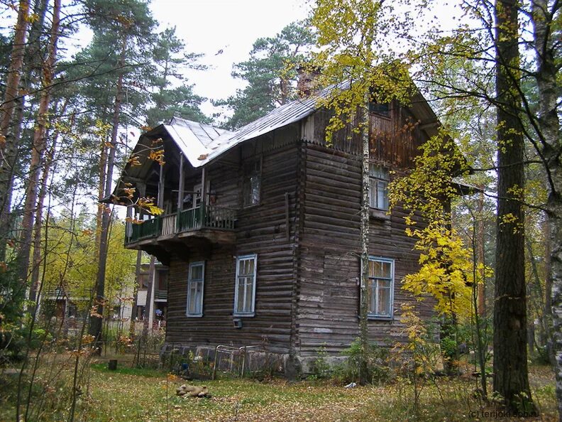 поселок ушково ленинградская область детский лагерь. санаторий жемчужина спб ушково. ушково ленинградская область. станция ушково. прогулка по ушково.