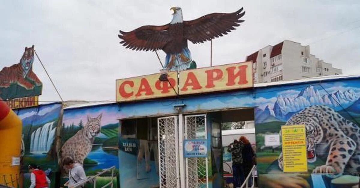 Волгоград зоопарк фото. Сафари парк ярославль. В волгограде есть зоопарк. Открытый зоопарк в волгограде. Сафари волгоград.