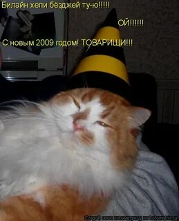 Мне бы нагуляться