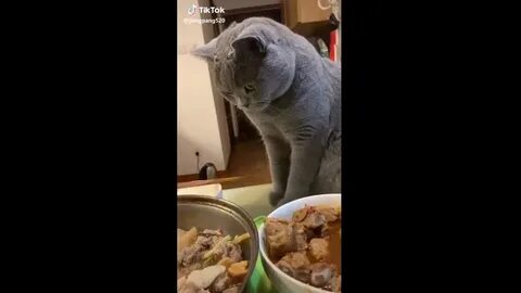 Кусочек дам