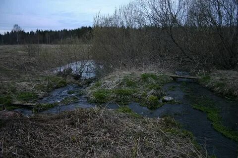 Несколько ручьев