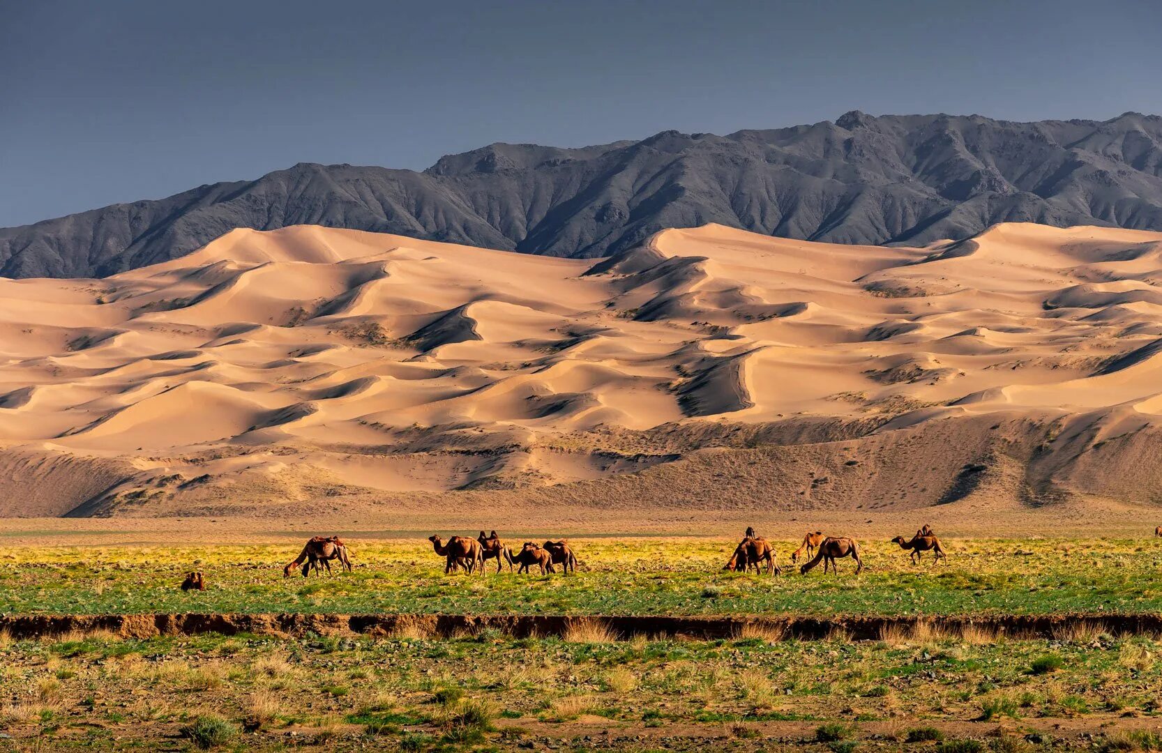 Гоби это пустыня. Монголия Гоби. Пустыня Гоби. Монголия пустыня Гоби 2023. Пустыня Гоби Евразия.