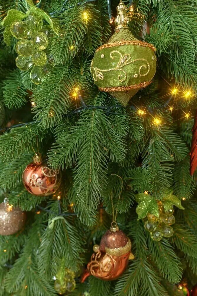 Ель афродита царь елка. Beatrees ель dakota, 240 см. Beatrees ель dakota 1. Царь елка афродита 240. Ель искусственная evexmas сибирская 225 см.