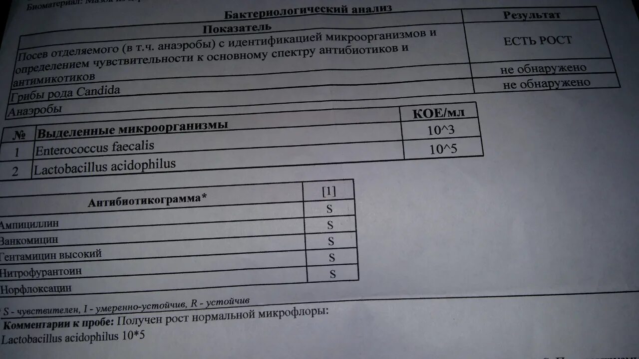 Гемотест определение чувствительности