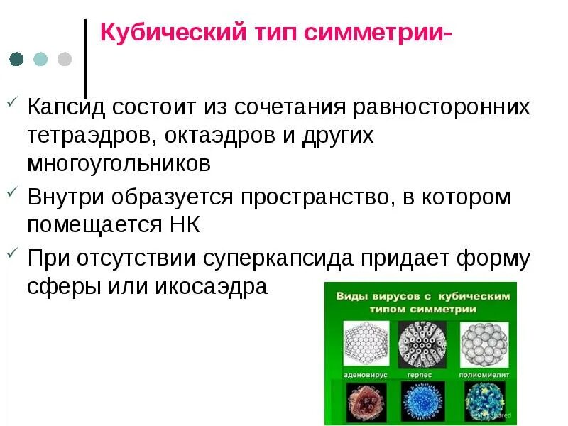 Кубический капсид. Икосаэдрический капсид. кубический тип симметрии вирусов. типы симметрии капсида вирусов. спиральный тип симметрии вирусов.