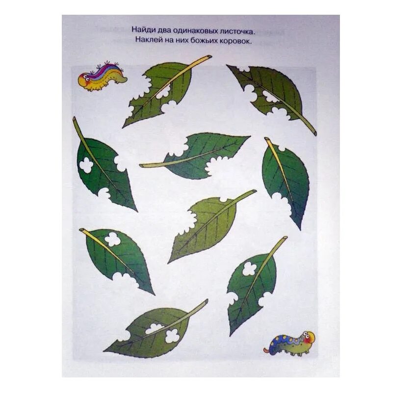 Счетный материал листочки. Раздаточный материал для детей. Два одинаковых листа. Два одинаковых листа. Свободное падение тел лист бумаги.