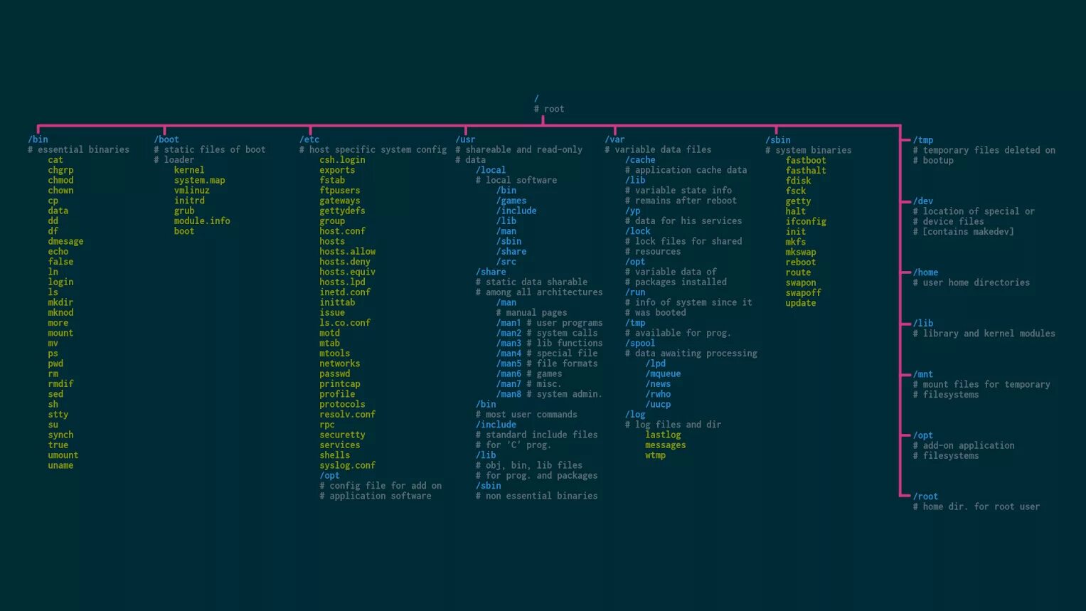Debian binary