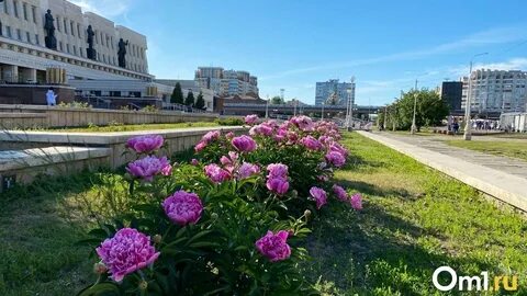 Поселок омский погода