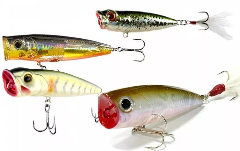 Попперы на щуку. Поппер на щуку. Какие попперы лучшие. Daiwa popper zero. T 7g.