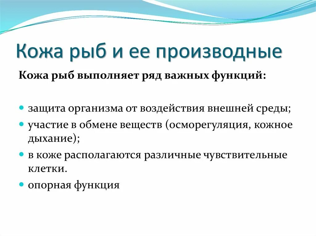 Строение и функции производных кожи. Функции кожного Покрова у рыб. Производные кожи рыб. Кожа и её производные у рыб. Кожный Покров рыб и его производные.