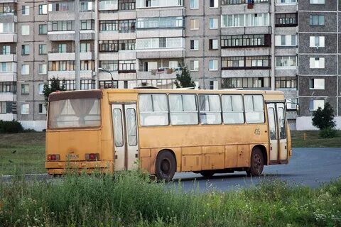 Автобус 435 лесопарковая кутузова