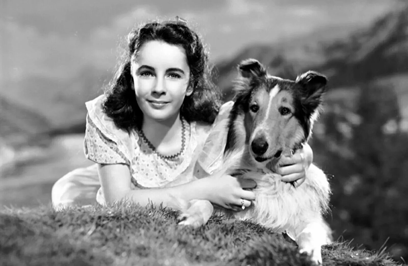 Элизабет тейлор лесси. Лесси возвращается домой 1943. Лесси фильм 1943. Тейлор колли. Лесси возвращается домой 1943.