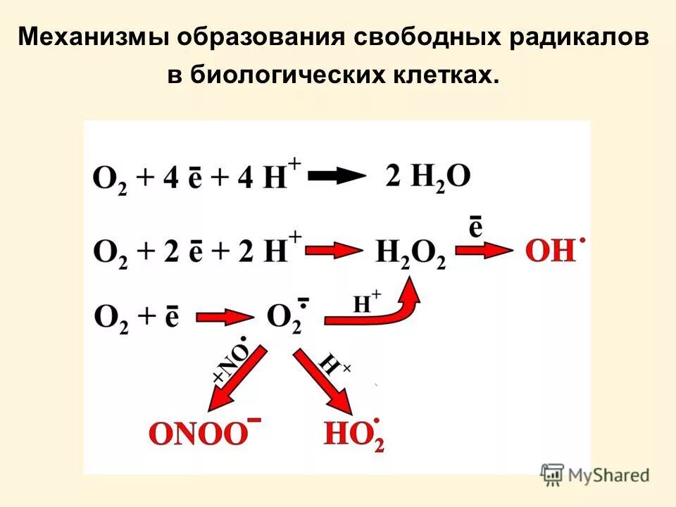 Реакции образования свободных радикалов. Окисление свободные радикалы. Механизм образования свободных радикалов. Механизм образования свободных радикалов. Механизм образования свободных радикалов.