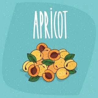 Найди абрикос