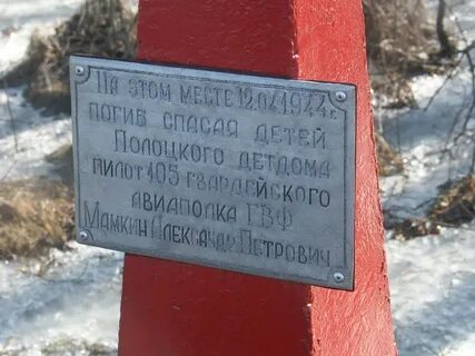 Спас жизнь летчику спрятав под волком название