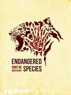 It is against the law to endangered