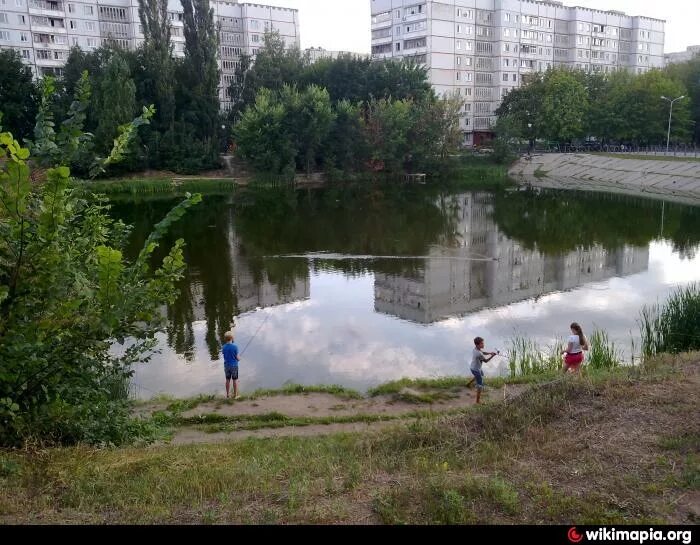 Пруды минск. Пруд в Минске. Пруд в Харькове. Минск водоемы. Комсомольское озеро (пруд, Минск).