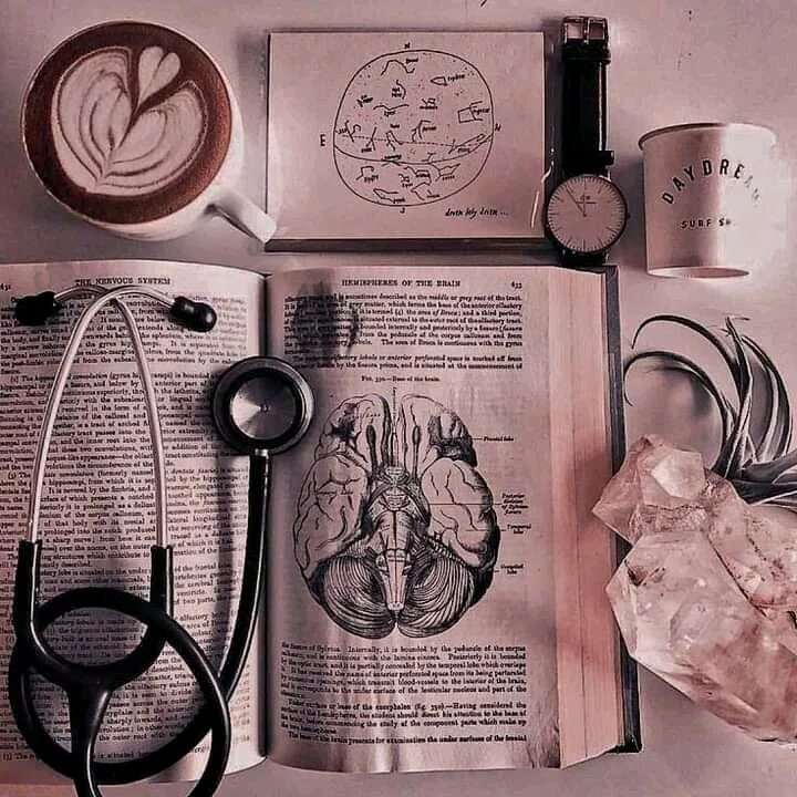 Pin by Paula Marques on FI Nurse aesthetic, Medical school inspiration, Medical 