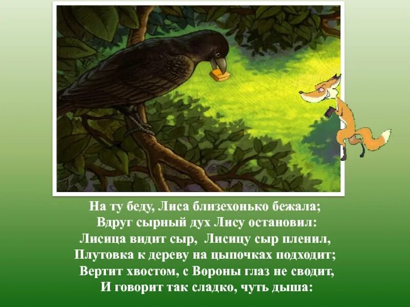 С вороны глаз не сводит. Басня Ивана Андреевича Крылова ворона и лисица. Басня Крылова ворона и сыр. Басня Ивана Крылова ворона и лиса. Ворона и лисица.