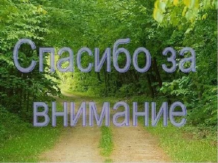Спасибо за чистые дороги