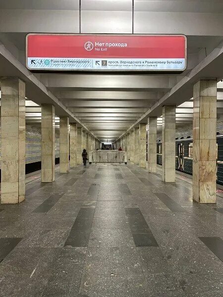 Проспект вернадского москва метро. Станция метро проспект вернадского бкл. Станция метро проспект вернадского. Станция вернадского москва. Станция метро проспект вернадского бкл.