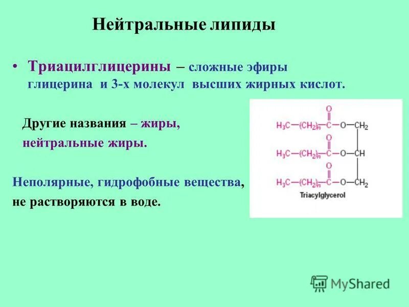 Строение липидов формула. Источник функции липидов. Химическая структура липидов. Молекулы липидов функции. Химическая структура липидов.