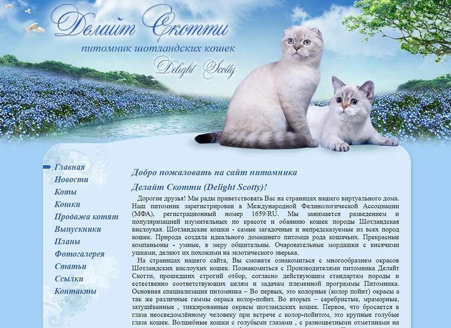 Питомник невских маскарадных кошек в москве. Питомник кошек отзывы. Слоган для питомника. Питомник кошек отзывы. Питомник кошек отзывы.