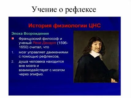 Учение о рефлексе