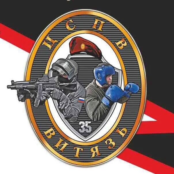 Цспв витязь. Цспв витязь 46. Цспв витязь балашиха. Флаг цспв витязь. Цспв витязь.