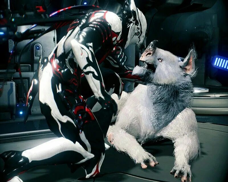 Кубрау warframe. Кубрау варфрейм. ракса кубрау. зараженный кубрау. варфрейм геймплей кубрау.