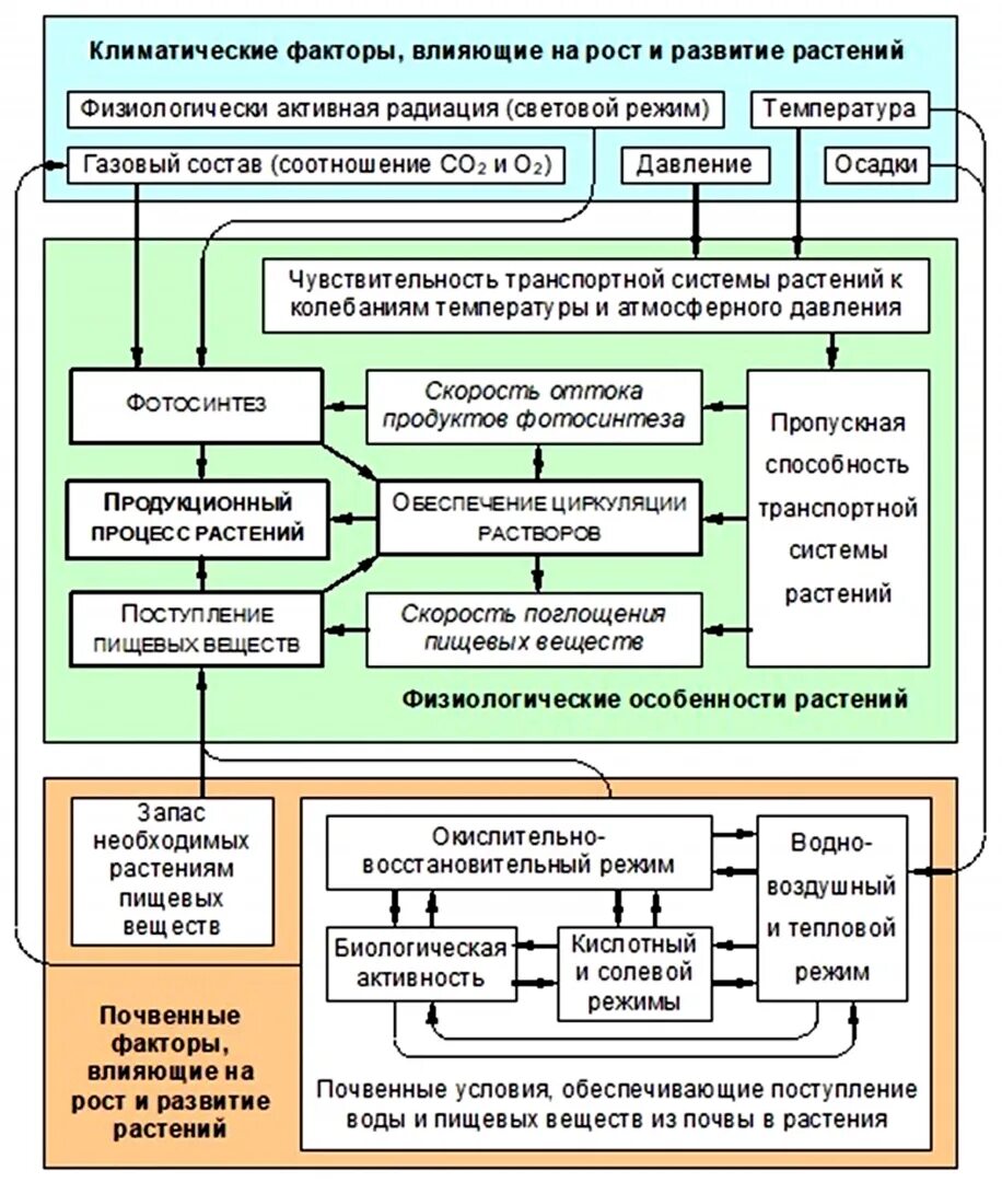 Факторы влияющие на развитие растений. Факторы влияющие Наростения. Факторы влияющие на рост и развитие растений. Факторы влияющие на растения.