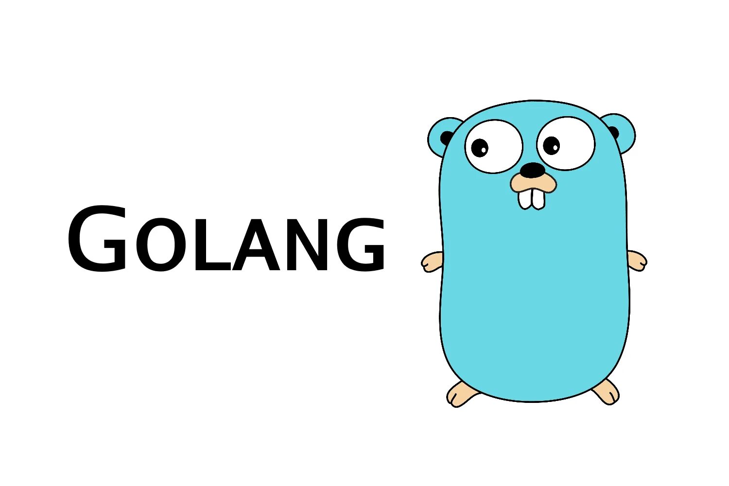 Golang value. Гофер голанг. Golang язык программирования. Golang логотип. Golang Маскот.