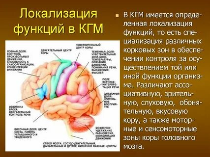 Что такое кгм