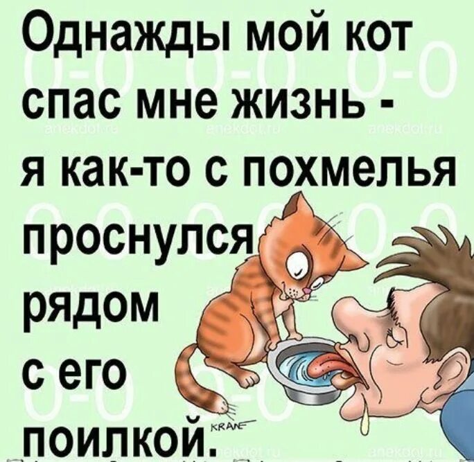 Что значит с бодуна. Похмелье приколы. Анекдот. Открытки с похмелья прикольные. Шутки про похмелье.