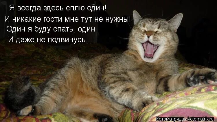 я тут я здесь я всегда. я тут я здесь я всегда. я тут я здесь я всегда. зачем я здесь мем. жириновский комикс.