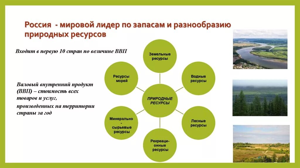 Виды природных ресурсов которыми богата россия