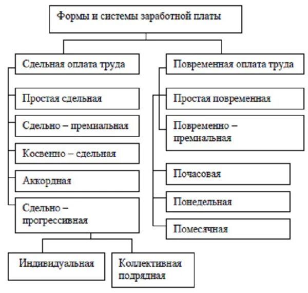 Заработная плата виды зарплаты