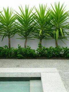 Plant pool
