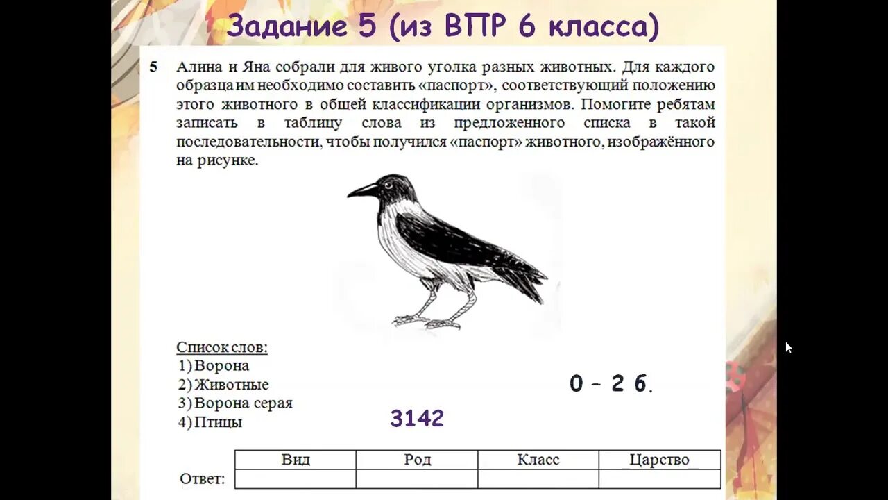 ВПР. Подсказки на ВПР по биологии 6 класс. ВПР по биологии 5 класс задания. ВПР по биологии 5 класс с ответами. Преудивительная у нас водится птичка впр 7