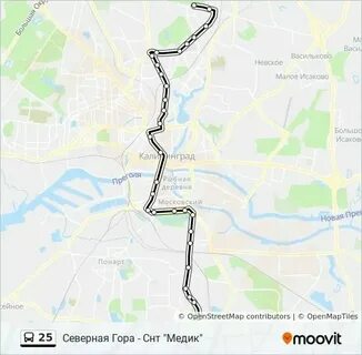 Сколько 25 маршруток