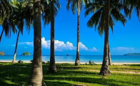 Beaches worlds