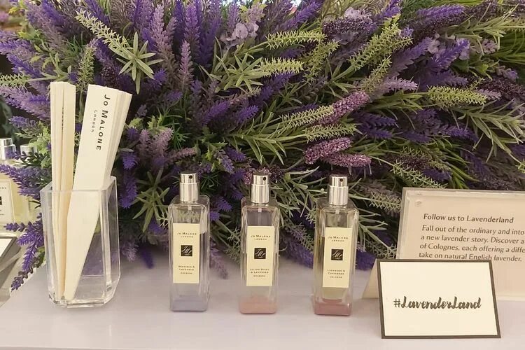 Мускус лаванда. Джо малон лаванда. лавандер арома. jo malone свечи lavender. селективный парфюм с лавандой.