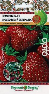 Московский деликатес описание сорта фото отзывы клубника