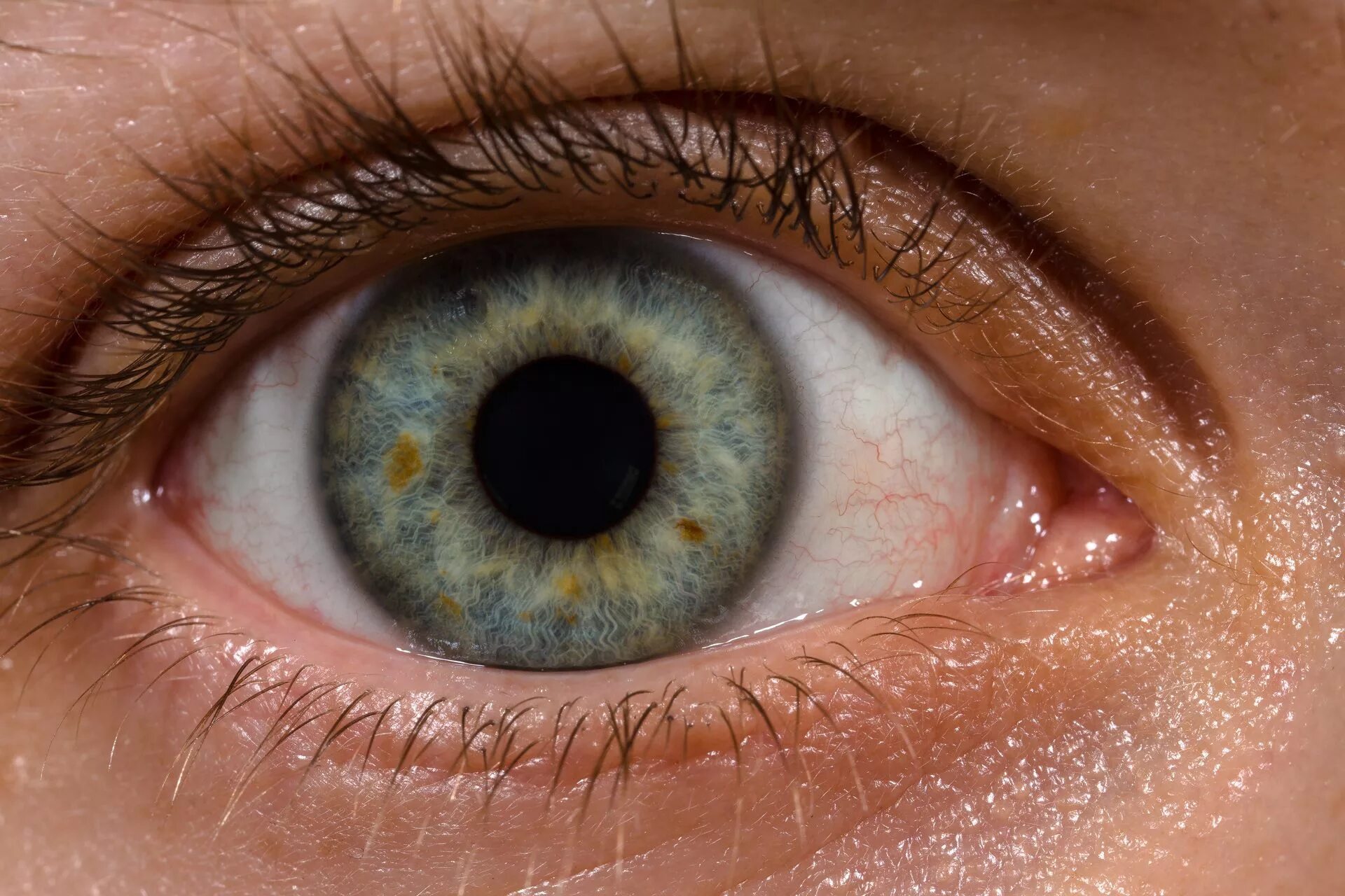 Цвет глаз человека определяется пигментацией. Глаз человека. Здоровый глаз человека. Красивые Радужки глаз. Глаз крупным планом.