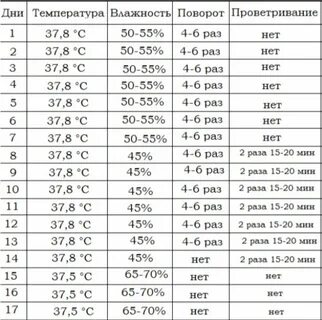 Температура и проветривание инкубатора