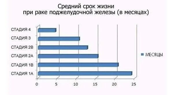 Продолжительность жизни при метастазах. Продолжительность жизни при онкологии степени. Продолжительность жизни при опухоли поджелудочной железы. Средняя Продолжительность жизни онкология. Срок жизни при онкологии.