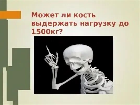 Сколько выдерживает кость