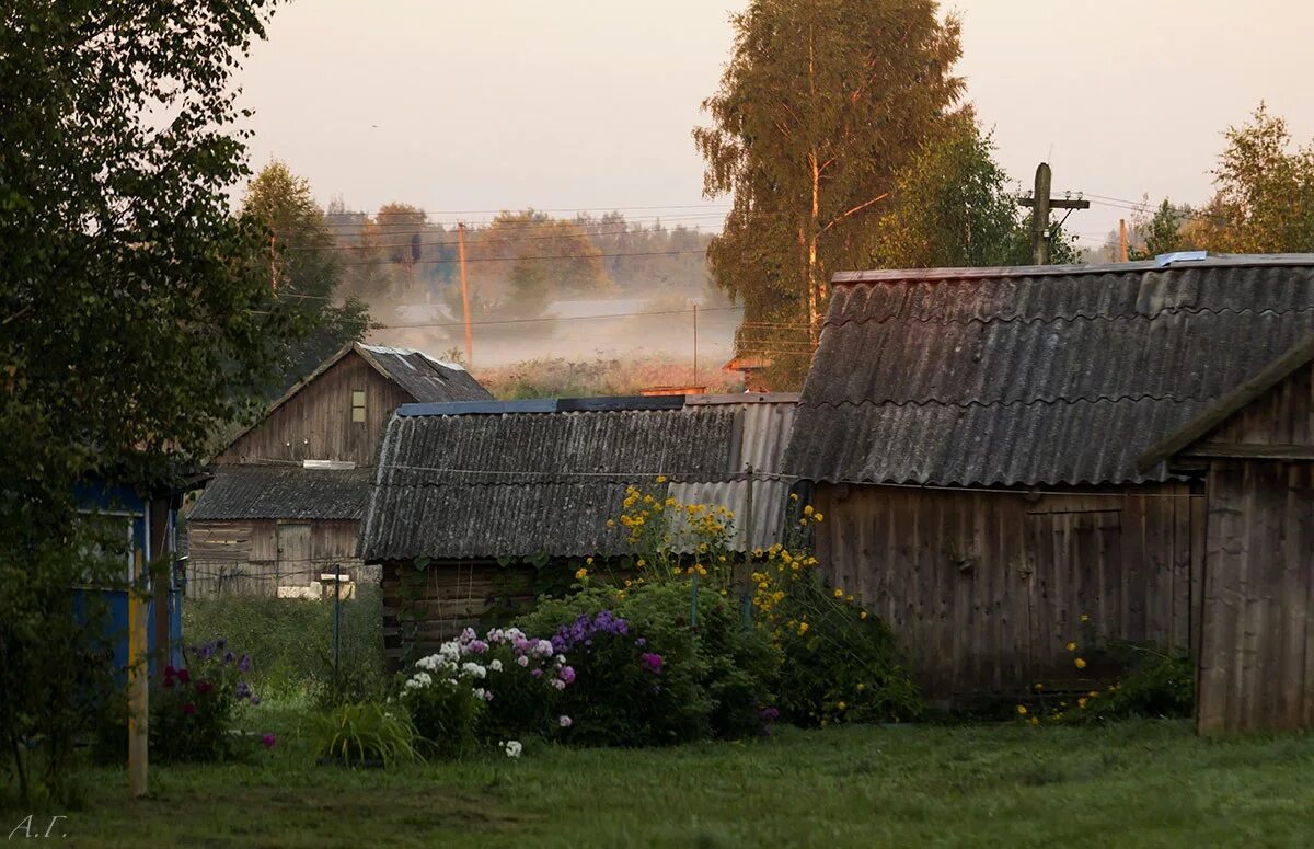 Лето в деревне. Утро в деревне. Раннее утро в деревне. Пасмурное утро в деревне. Душевно про деревню